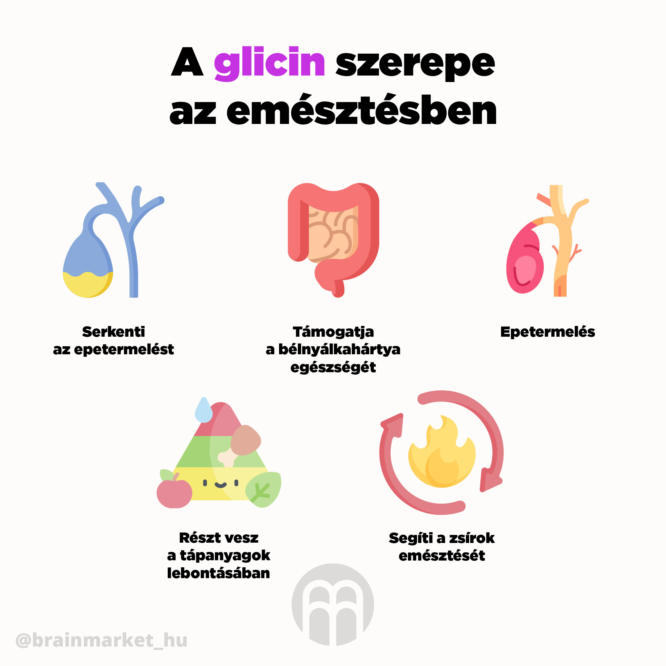 funkce glycinu v traveni infografika brainmarket hu